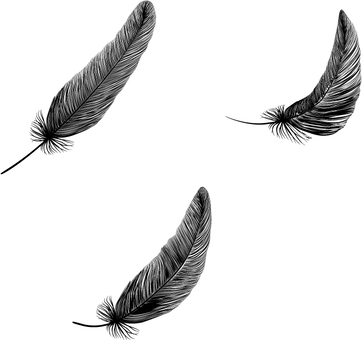 え？誰の羽？ / 27吉 さんのイラスト - ニコニコ静画 (イラスト) サポート 必要 概して 羽 素材 スクラッチ 田舎者 従う