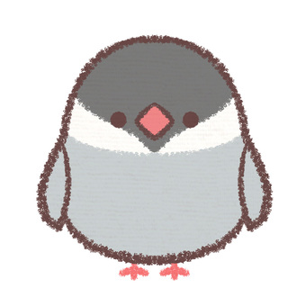 無料イラスト アイコンニワトリ 鳥 アイコンイラスト／無料イラストなら「イラストAc」