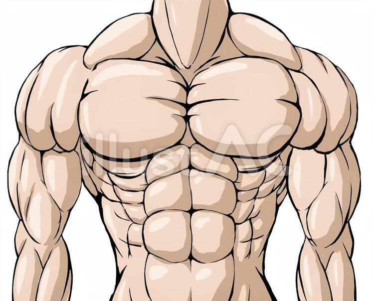 褐色,筋肉,ボディビル,マッチョ,ポーズ,全身,パンツ,ビキニ,白背景,版画,切り絵,喜怒哀楽,表情 Fototapeta • Fototapety Amerika, Výraz, Přední | Myloview.cz マッチョ3イラスト - No: 1451485／無料イラストなら「イラストAc」