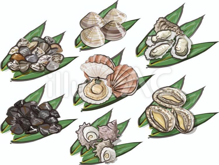 貝類 集合イラスト No 1092278／無料イラストなら「イラストAC」