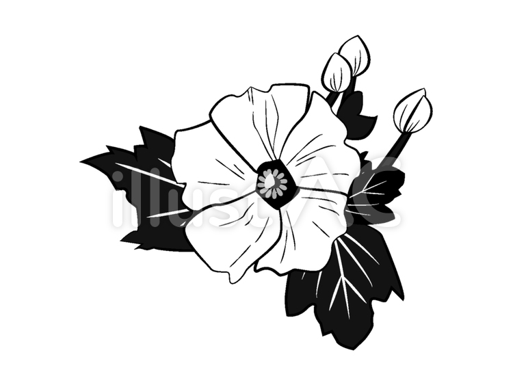 二葉葵イラスト／無料イラストなら「イラストAc」 葵イラスト - No: 134022／無料イラストなら「イラストAc」