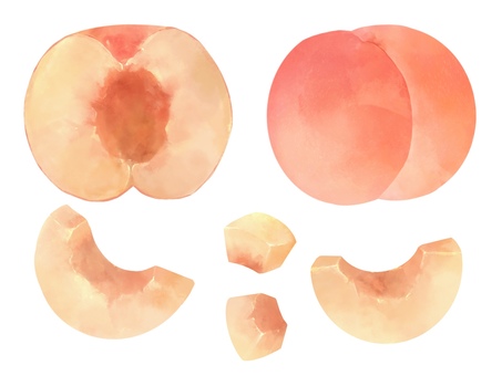 カット桃の写真素材｜写真素材なら「写真Ac」無料（フリー）ダウンロードOk カットピーチイラスト／無料イラストなら「イラストAc」