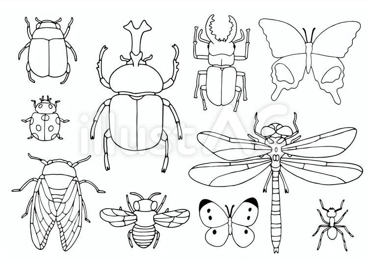 スロー】この虫どなた？はっきりとした白黒コントラストが目を引きます。 – はたけあそびネット 虫のイラストセット白黒イラスト - No: 1954226／無料イラストなら「イラストAc」
