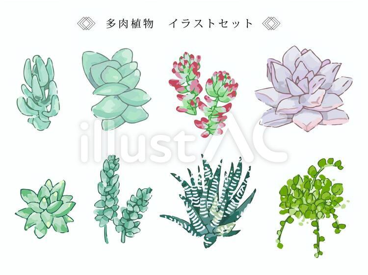 多肉植物が描かれたイラスト特集 多肉植物のイラストセットイラスト - No: 1406161／無料イラストなら「イラストAc」