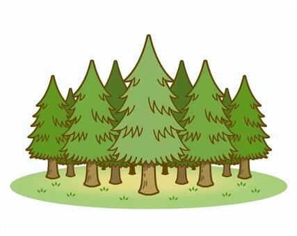 無料イラスト 杉の木とスギ花粉 杉の木イラスト／無料イラストなら「イラストAc」