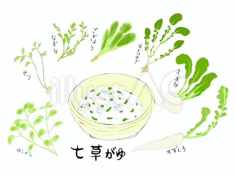 七草粥 春の七草 イラストのイラスト素材 [36387971] - Pixta 春の七草と七草粥セットイラスト - No: 2322073／無料イラストなら「イラストAc」