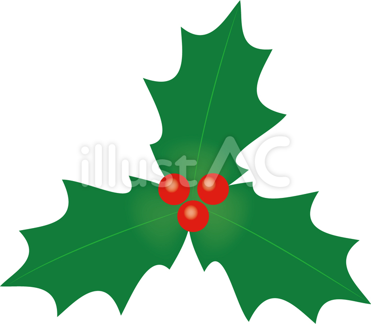 西洋ヒイラギ, シンボル, ベクトル, クリスマス, Icon., イラスト, ベリー. 西洋ヒイラギ, シンボル, ベクトル, クリスマス, Icon., Draw., 手, イラスト, ベリー. | Canstock クリスマスホーリー（西洋ヒイラギ）イラスト - No: 1253800／無料イラストなら「イラストAc」