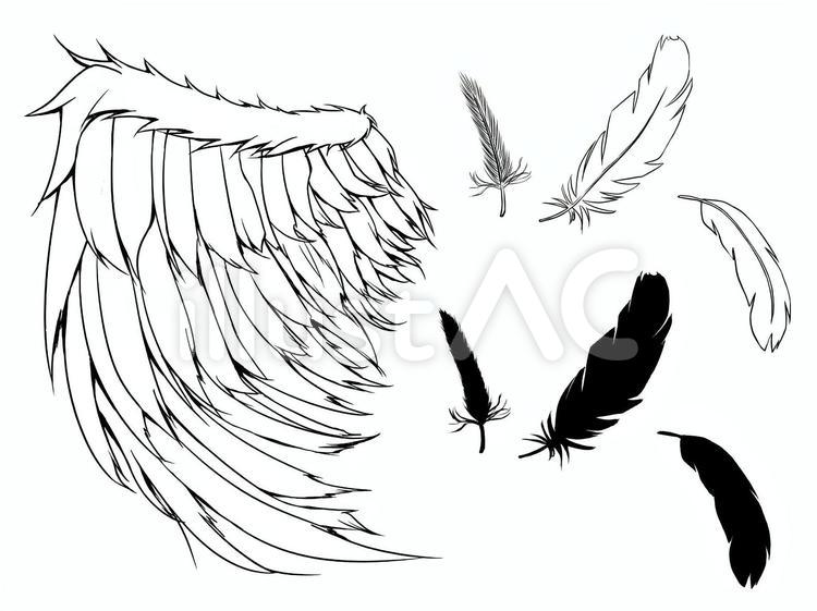 Pin On Tutorial - Drawing - Animal モノクロの羽根イラスト - No: 1058784／無料イラストなら「イラストAc」