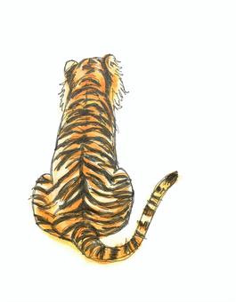 アムールトラの後ろ姿 - No: 510536｜写真素材なら「写真Ac」無料（フリー）ダウンロードOk 虎 背中イラスト／無料イラストなら「イラストAc」