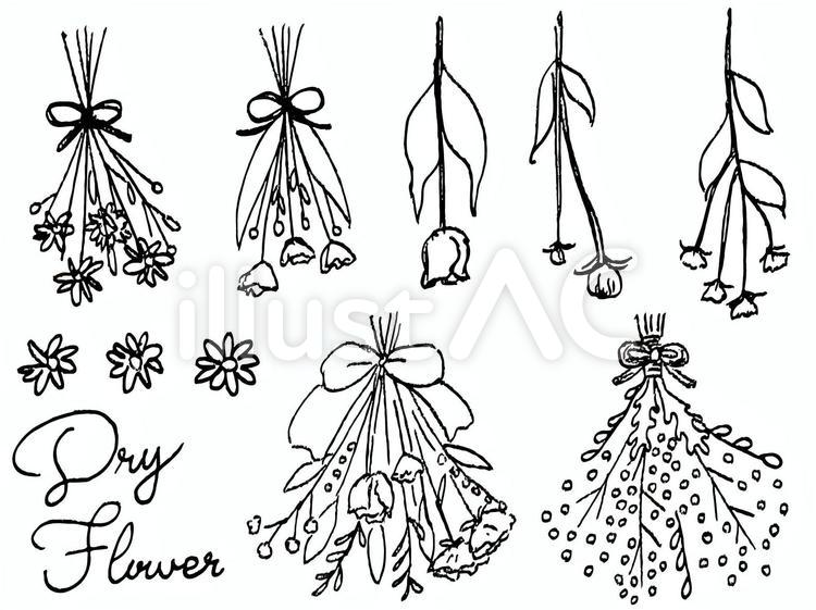 イラスト素材】花 ドライフラワー バラ ９ - M&M Collection 手描き 大人っぽいドライフラワーAイラスト - No: 2103332／無料イラストなら「イラストAc」