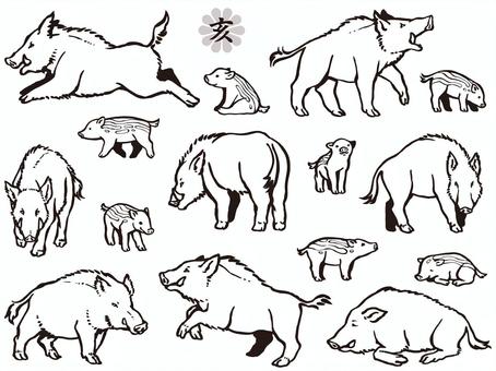 水彩のリアルなパンダ動物白背景イラストを分離しました。 の写真素材・画像素材. Image 70324186. リアルな動物イラスト／無料イラストなら「イラストAc」