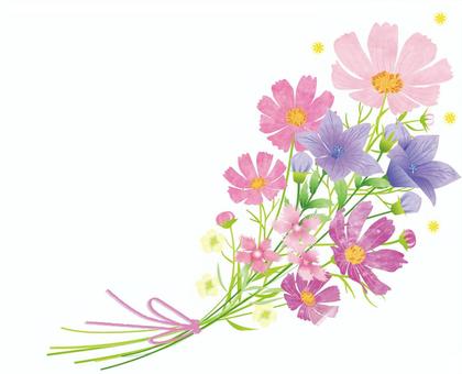 9 月 の 花 イラスト 15++ Latest