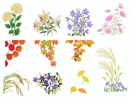 秋の花のイラスト・画像／無料のフリー素材集【百花繚乱】 秋の花イラスト／無料イラストなら「イラストAc」