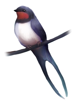 リアルタッチの羽ばたくブッポウソウのイラスト素材 [67702964] - Pixta リアルな鳥イラスト／無料イラストなら「イラストAc」