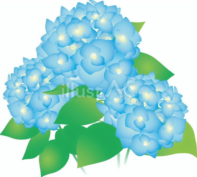Free Vectors hydrangea flower