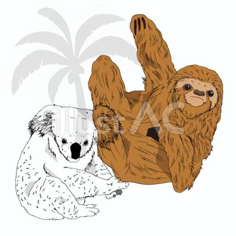 Free Vectors Koalas and sloths