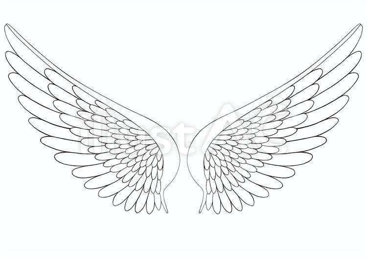 Free Vectors Wings line drawing (3) monochrome simple coloring