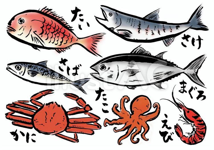 筆書き魚色々カラーイラスト No 606507／無料イラストなら「イラストAC」