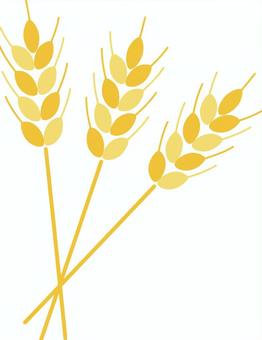 麦のイラスト - イラストの里 もち麦イラスト／無料イラストなら「イラストAc」