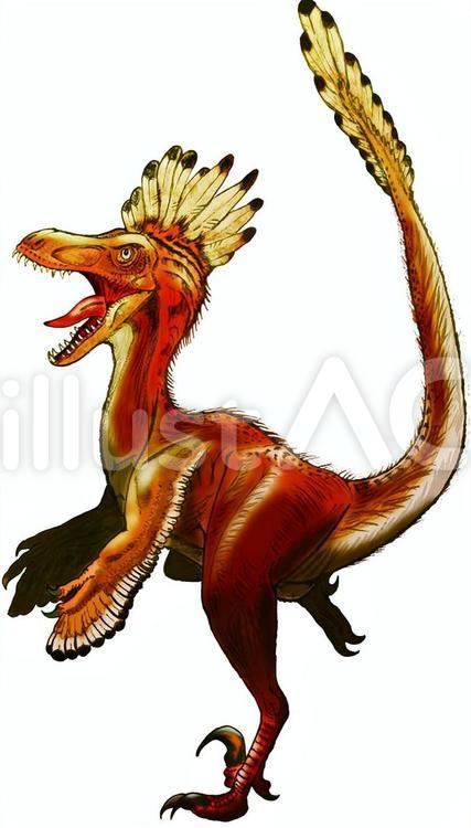 ヴェロキラプトルのイラスト（恐竜） | かわいいフリー素材集 いらすとや ラプトルイラスト - No: 693829／無料イラストなら「イラストAc」