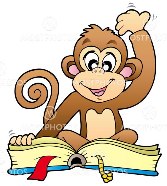 "Cute monkey reading book" by Klara Viskova Mostphotos