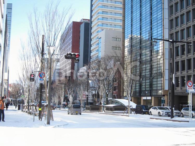 冬の情景や街並み 旭川ならではの魅力を収めて - / 旭川・道北のニュース [ライナーウェブ] 冬の街並み - No: 2552768｜写真素材なら「写真Ac」無料（フリー）ダウンロードOk