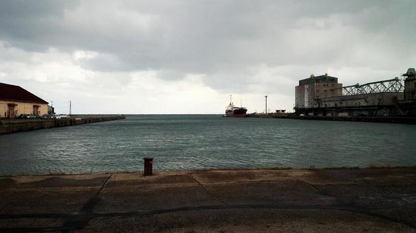 善福寺川】物寂しい中で迎えた満開の桜 │ 今日という日を忘れずに 物寂しいの写真素材｜写真素材なら「写真Ac」無料（フリー）ダウンロードOk
