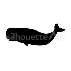クジラ, 黒, 精液, 隔離された, 白, シルエット, Ve. ベクトル, クジラ, 動物, 精液, Cachalot, 黒, スタイル, 海, 隔離された, 白, シルエット, イラスト, 最小である. | Canstock クジラ｜シルエット イラストの無料ダウンロードサイト「シルエットAc」