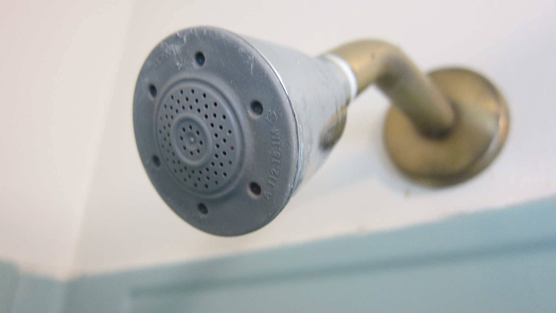 Best Way to Clean a Dirty Showerhead House Tipster