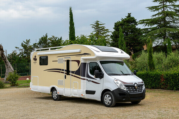 Neuer Ahorn Alaska TQ Plus (35905387) Campanda.de
