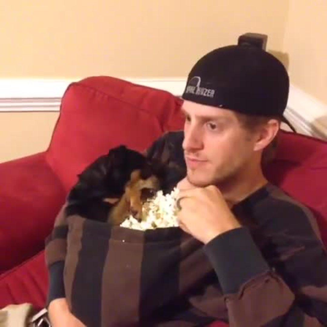 Puppy and Owner Eat Popcorn Out of Hoodie Jukin Licensing