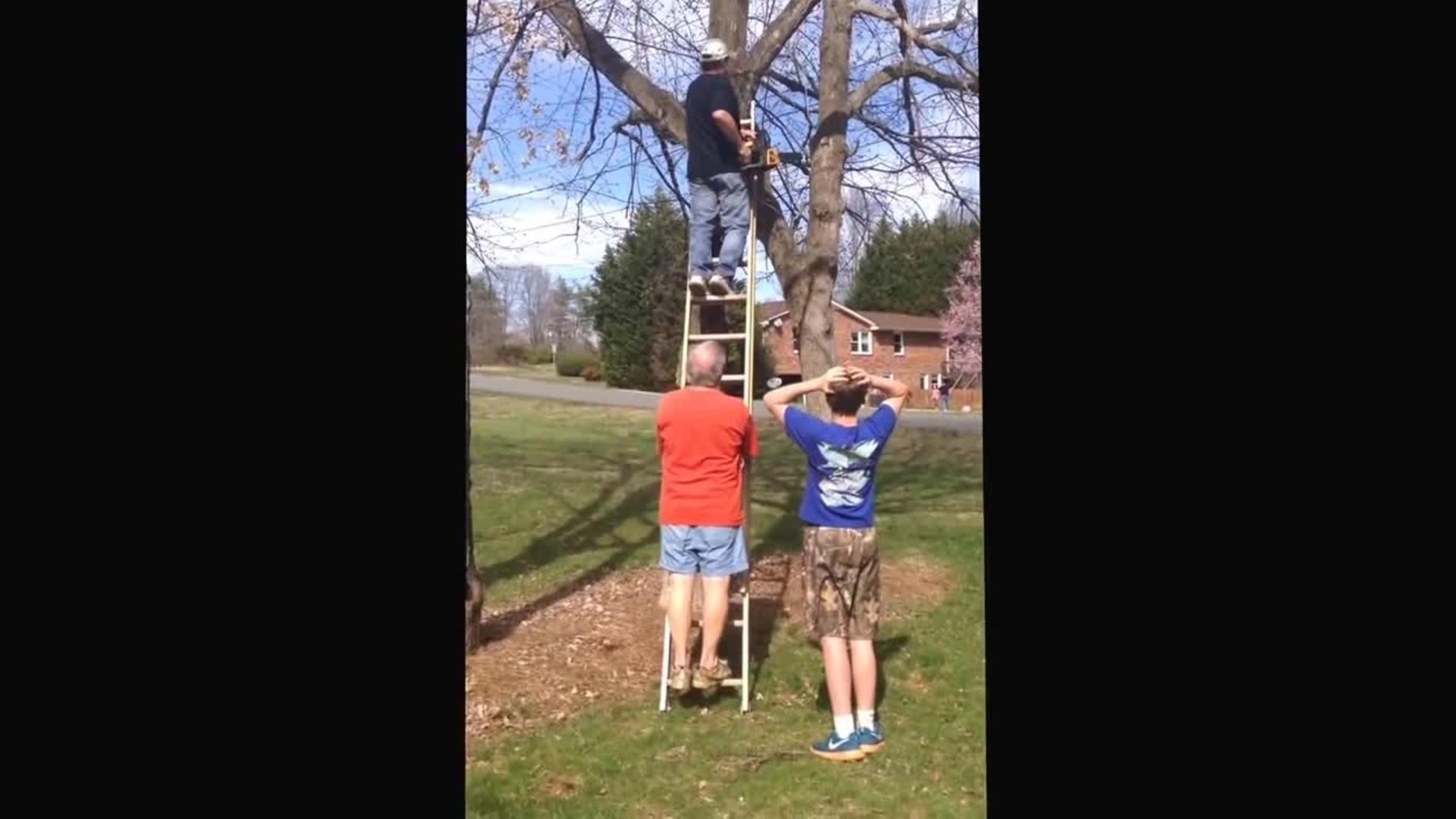 Man Falls off Ladder during Tree Trimming Jukin Media Inc