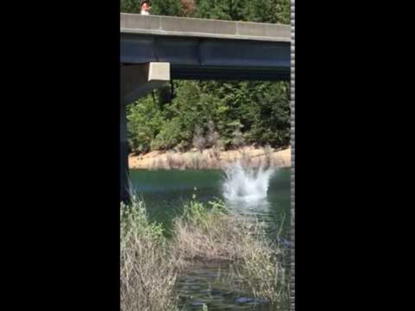 Girl Jumps off Bridge and Into Water Jukin Licensing