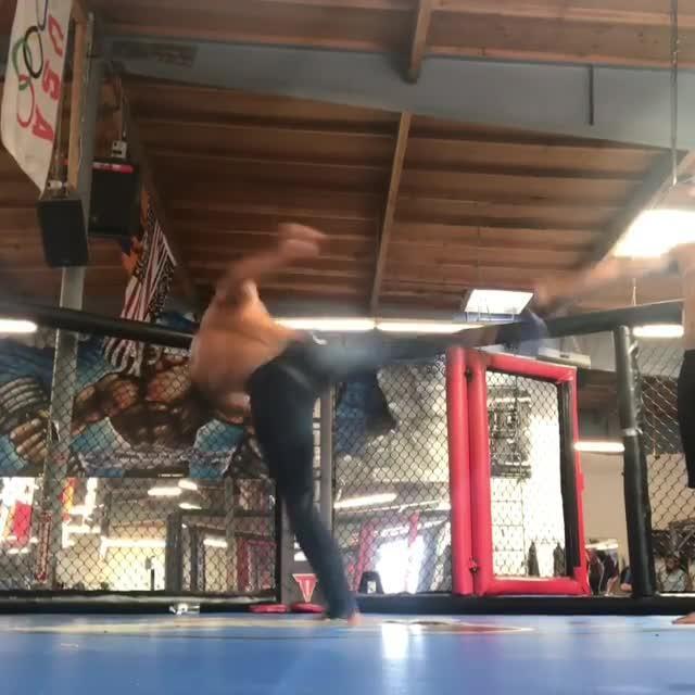 Guy Executes Perfect Spin Kick Jukin Media Inc