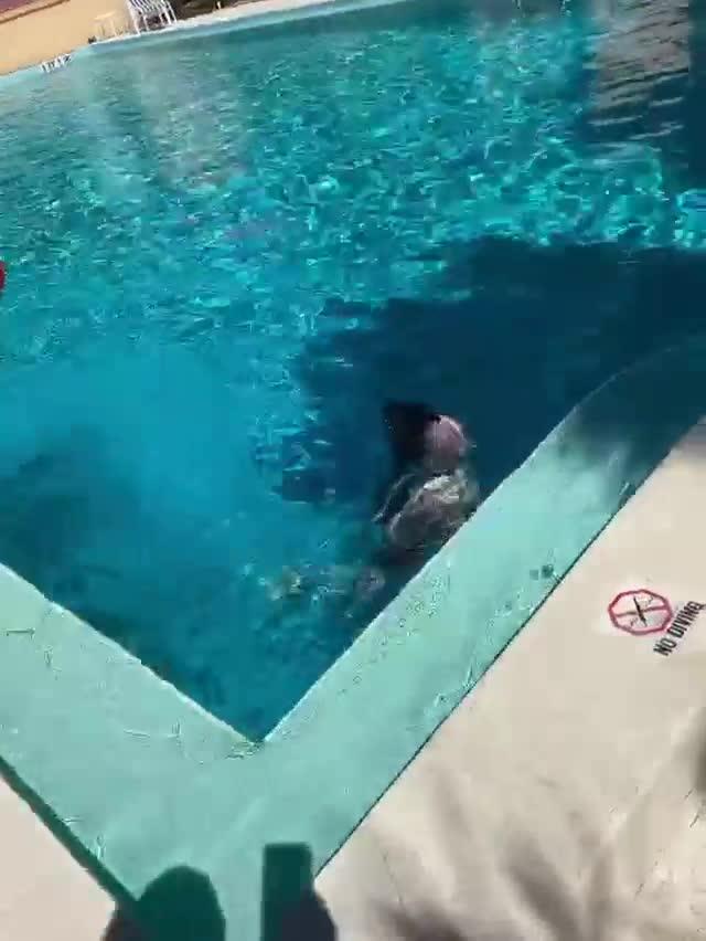 Girl Slips and Falls Attempting Electric Slide by Pool Jukin Media Inc