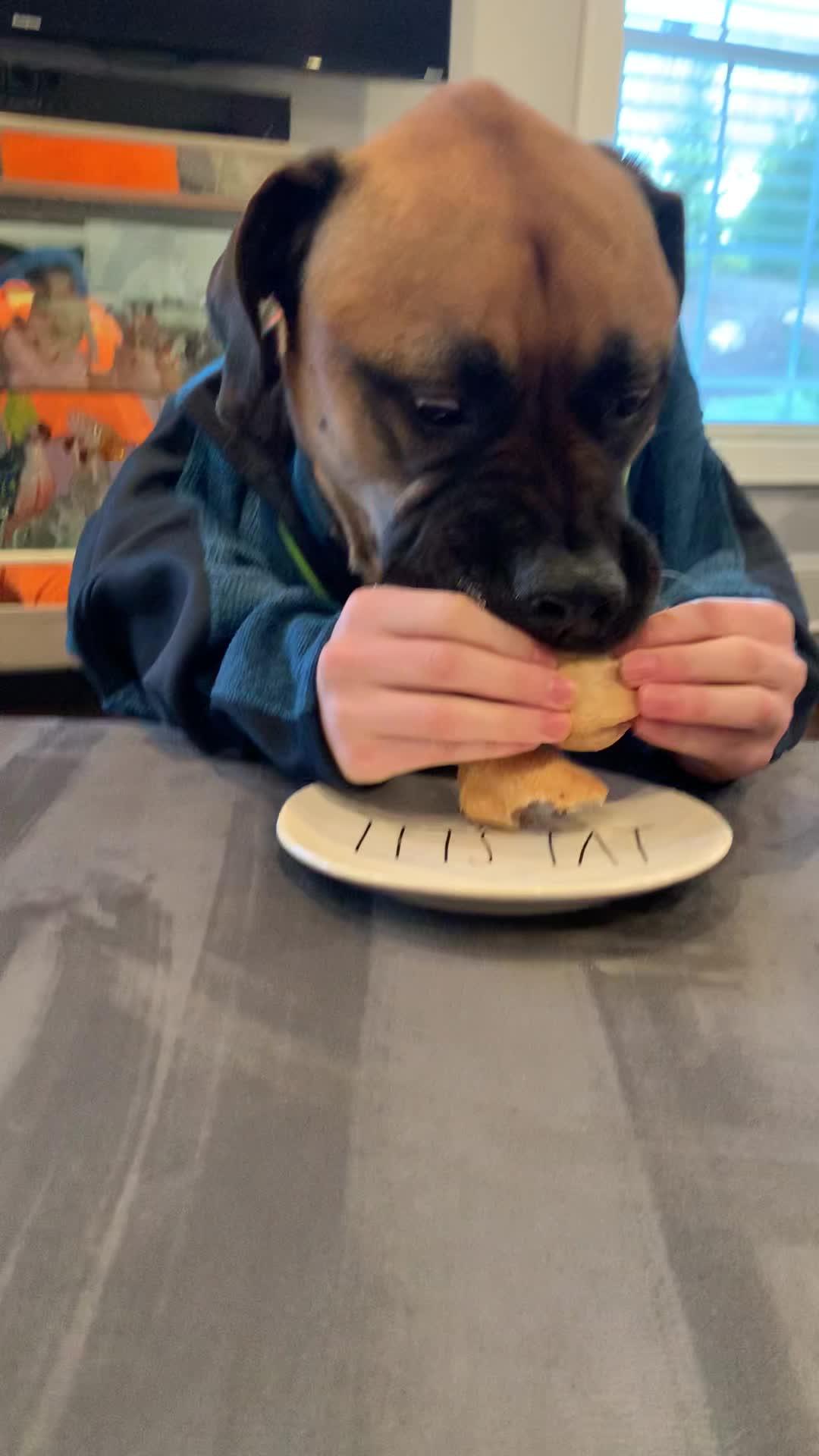 Woman Smears Peanut Butter on her Forehead to Distract her pet Dog