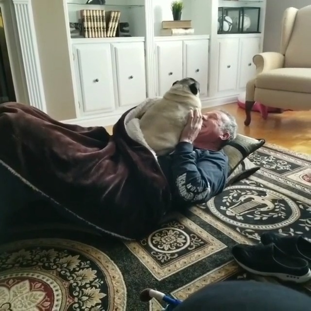 Dog Gets Cozy in Blanket With Their Owner While He Lies Down in Front