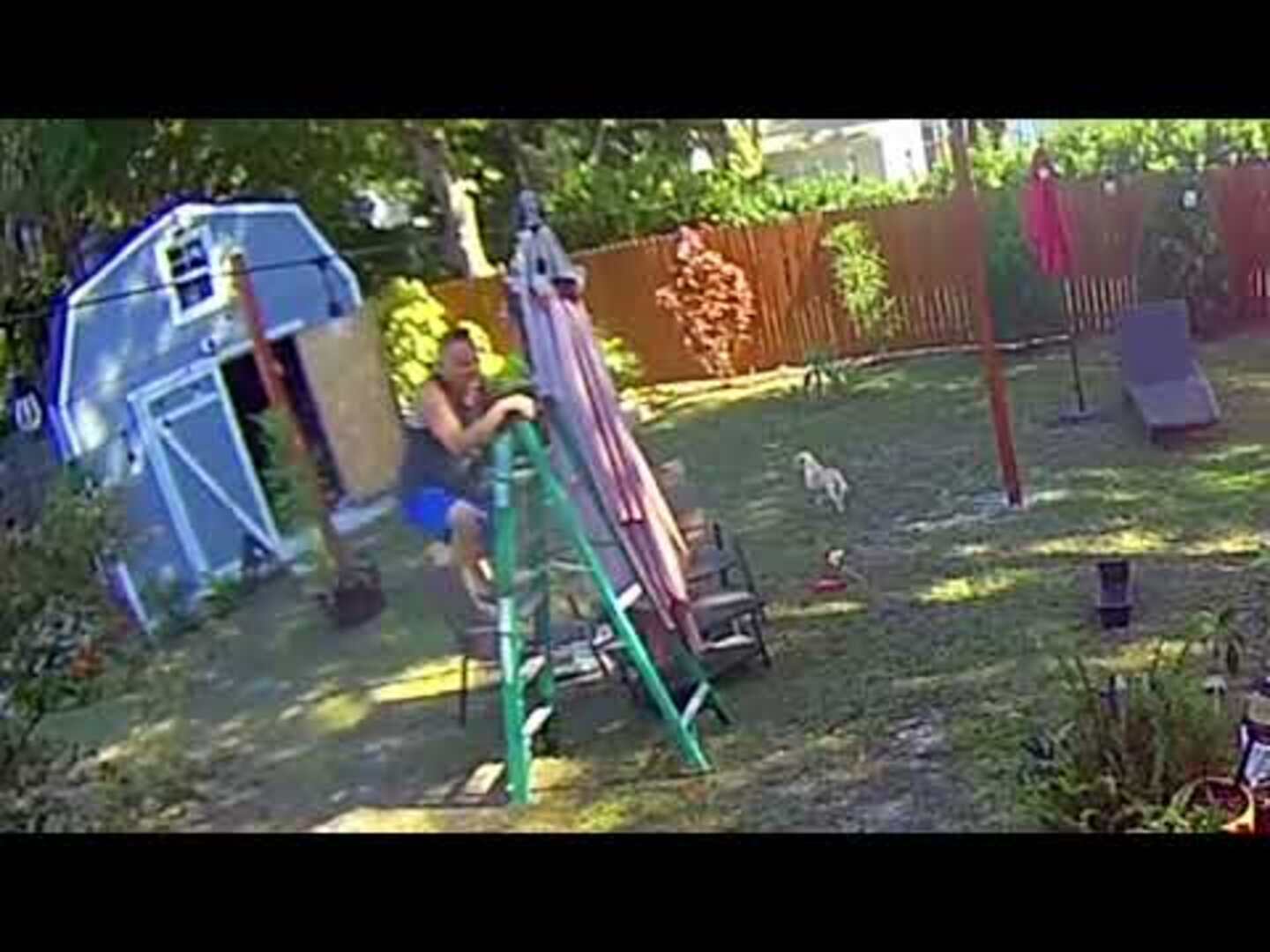 Guy Falls Off Ladder As It Slides Forward Jukin Licensing