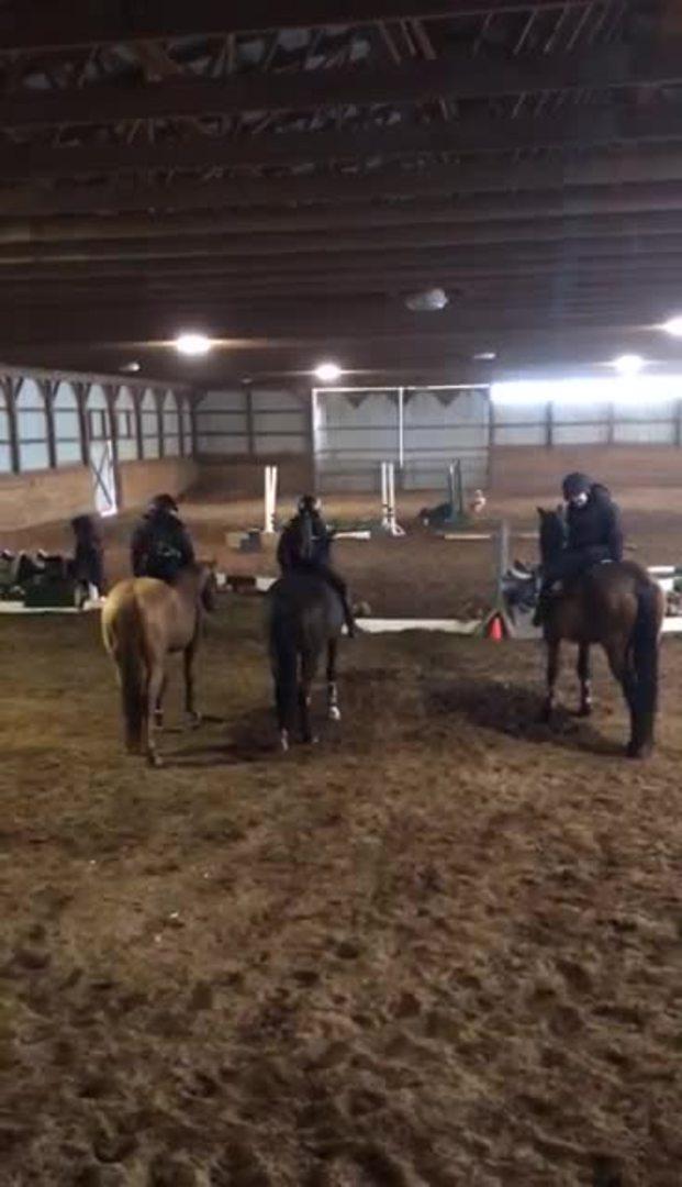 Equestrian Bucked Off Horse Jukin Licensing