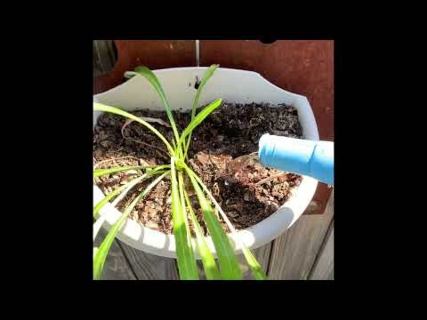 Woman Shows How to Change Fluorescent Light Bulb Jukin Licensing