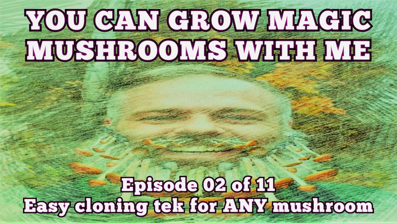 You Can Grow Magic Mushrooms With Me Episode 02 of 11 Cloning Any
