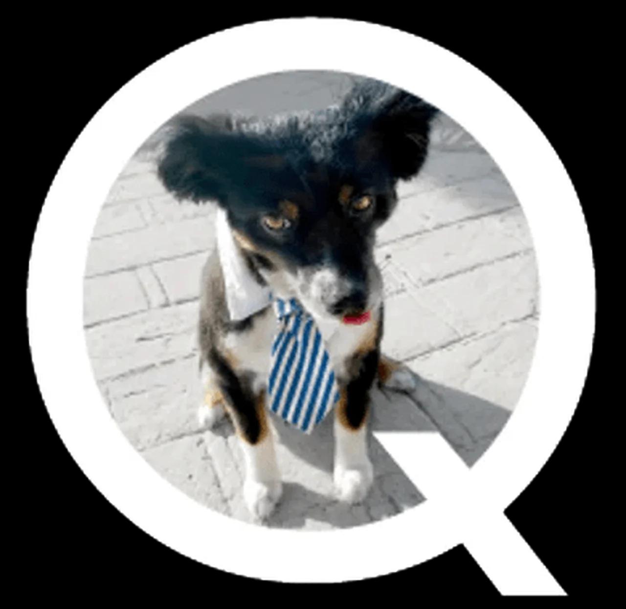 QBits with Gooddog // Army of Light