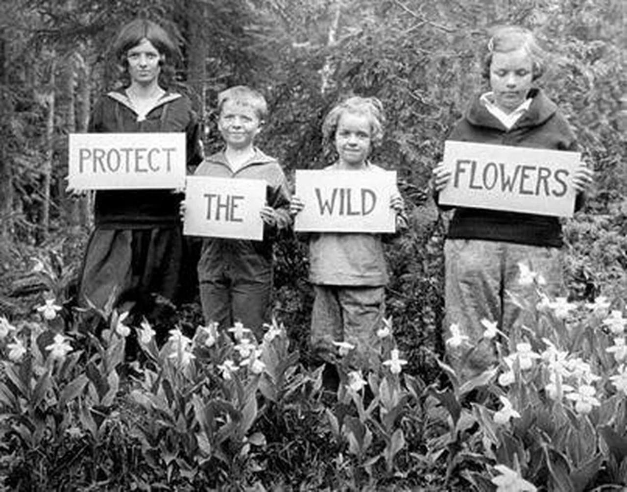 Protect the wild flowers.