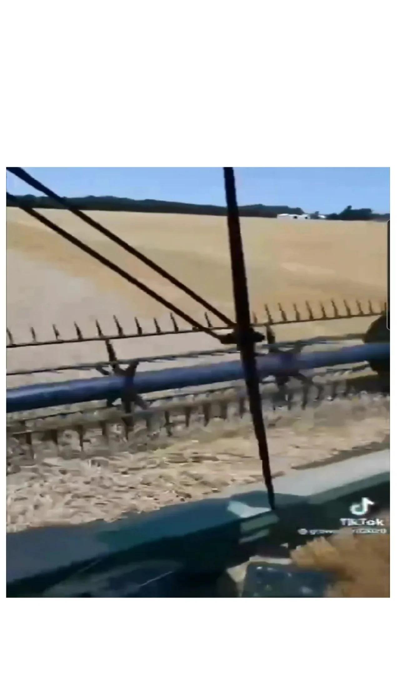 Gov't pays farmers to destroy crops