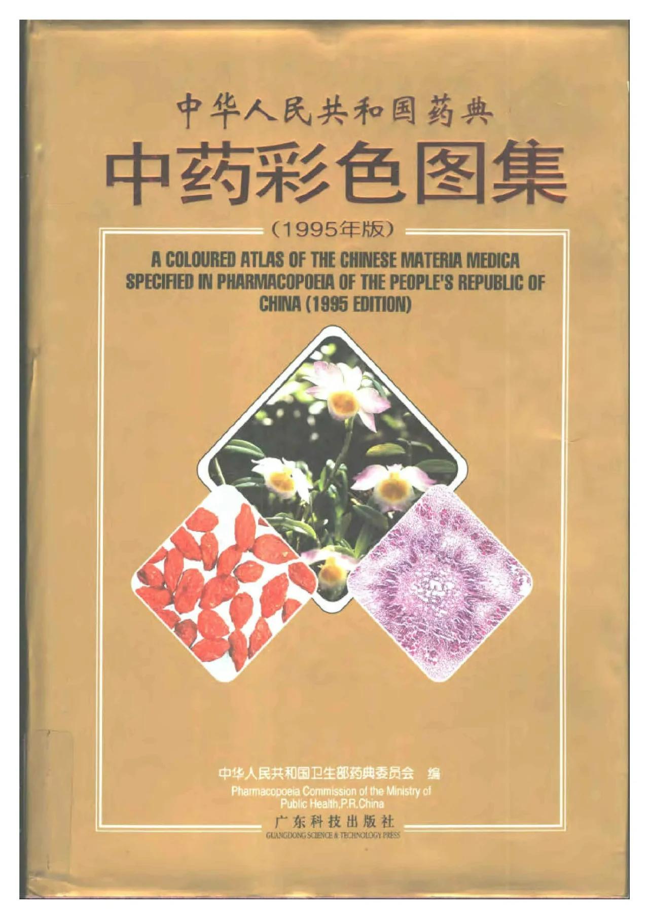 Traditional Chinese Medicine Dictionary [With English Translation