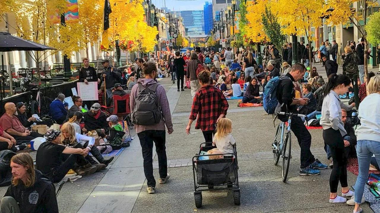 Picnic Protests Sweep the World! SolutionsWatch