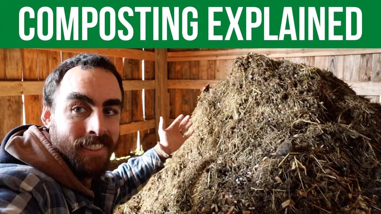 Composting Explained Your Questions Answered