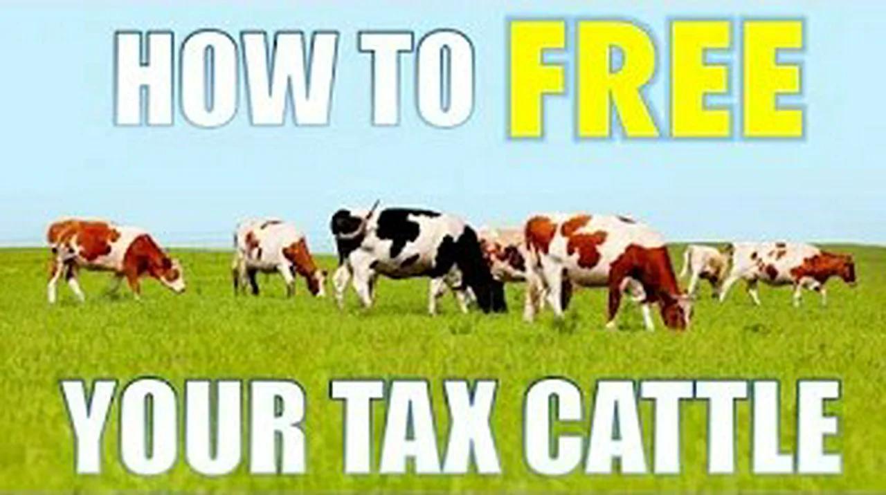 How To Free Your Tax Cattle