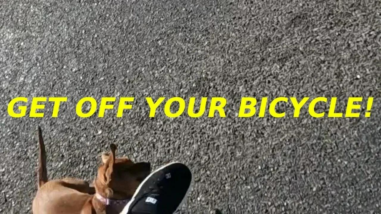 GET OFF YOUR BICYCLE! (how to deal with dogs while cycling) dontdie 