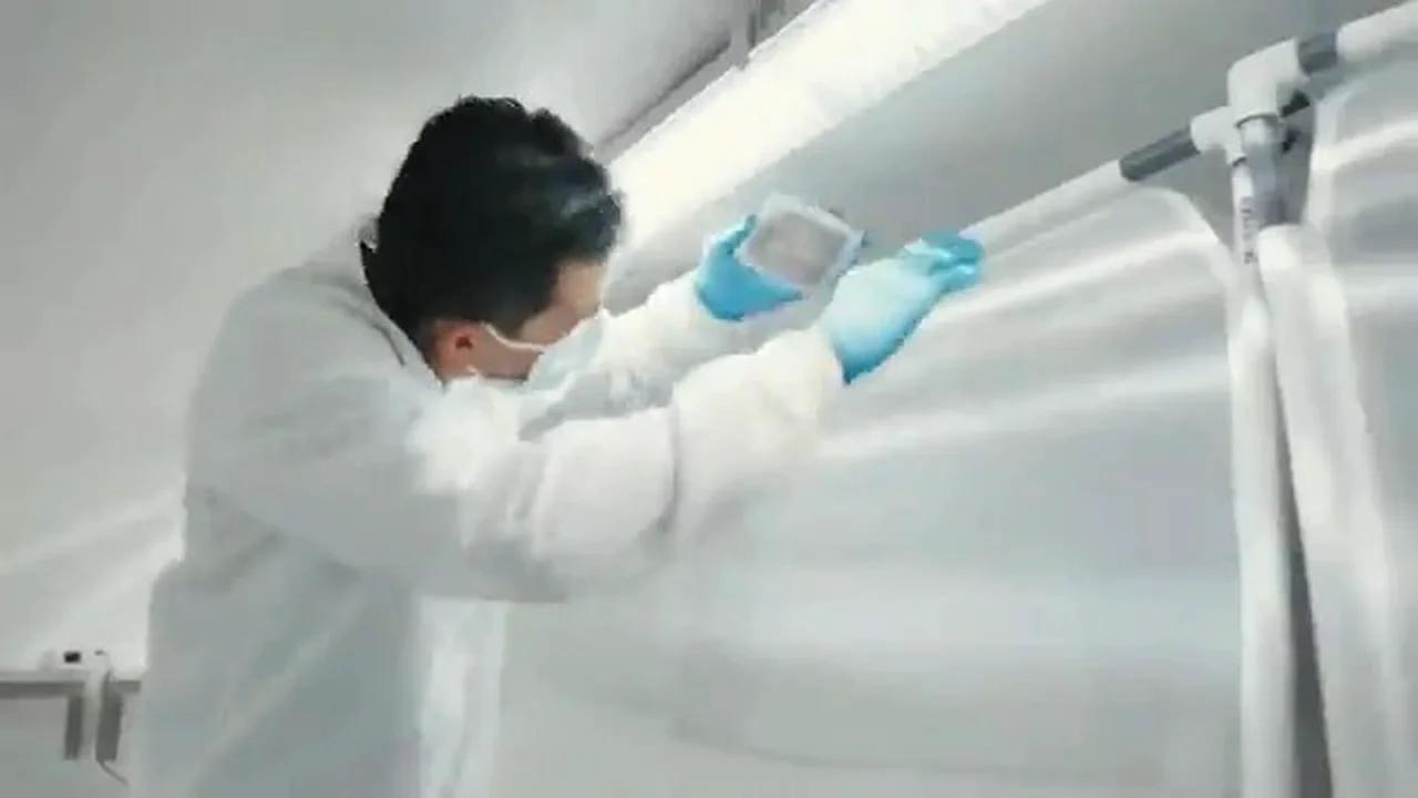 Mosquito Farm and The Bill Gates Foundation